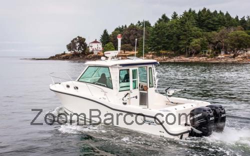 Boston Whaler 315 Conquest Pilothouse ficha tecnica